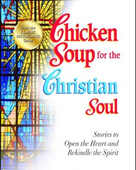 CHICKEN SOUP :FOR THE CHRISTIAN SOUL