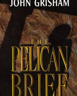 THE PELICAN BRIEF