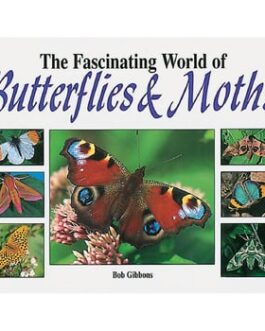 THE FASCINATING WORLD OF BUTTERFLIES AND MOTHS