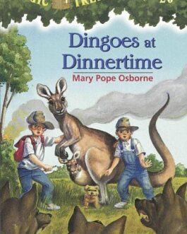 DINGOES AT DINNERTIME