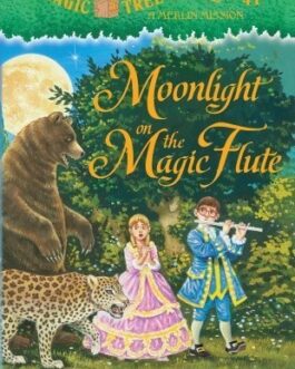 MOONLIGHT ON THE MAGIC FLUTE