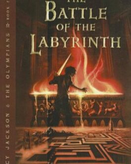 THE BATTLE OF THE LABYRINTH