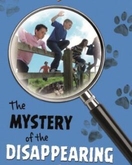 THE MYSTERY OF THE DISAPPEARING CAT