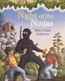 NIGHT OF THE NINJAS
